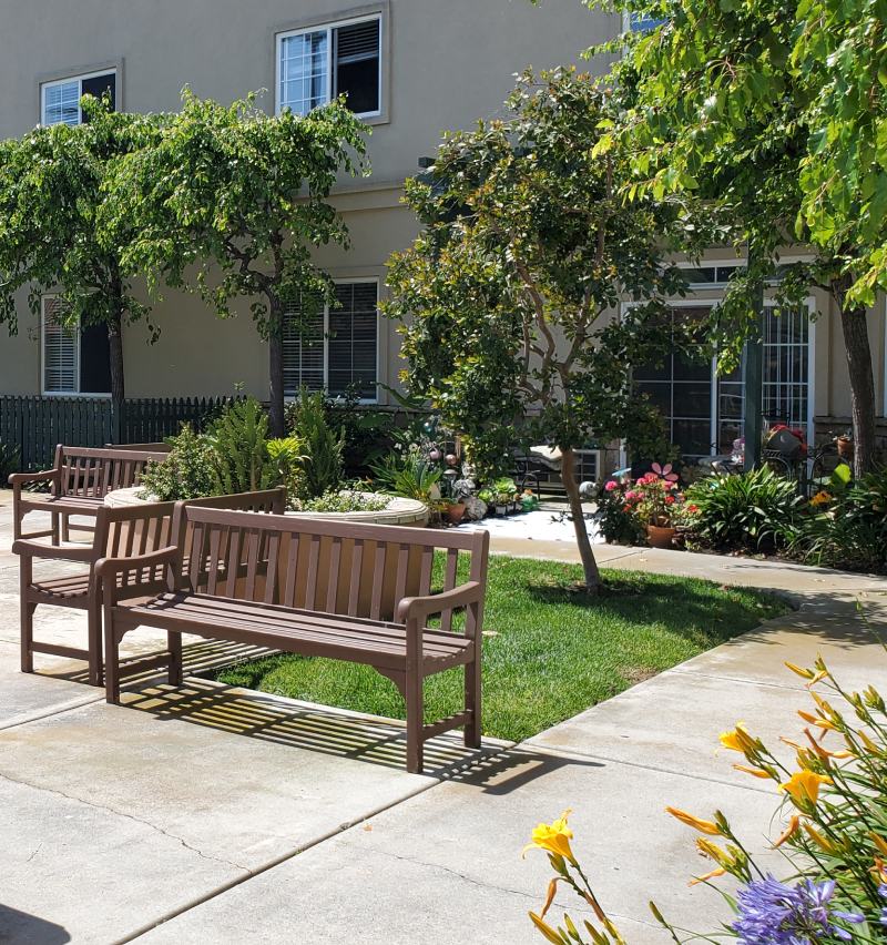 Main Street | Community Courtyard